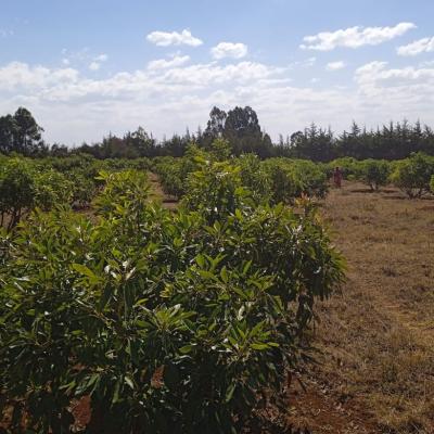 00aca790 A071 479a 9217 3dec1314720a