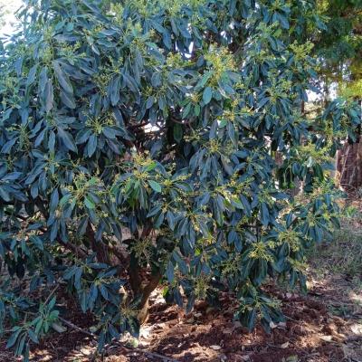 764b0ee6 6f0a 4b50 9620 F1c497b1f34e