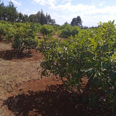 A65ed54b 87f4 499b 934c 9f0d439a7b0c