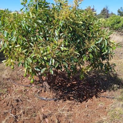 Fb5f8e16 Efc7 4793 B42a B7b1654d0fda